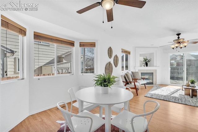 dining room with a tiled fireplace, ceiling fan, and light hardwood / wood-style flooring