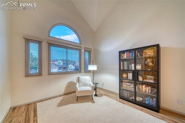 living area with wood-type flooring and high vaulted ceiling