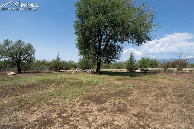 view of yard featuring a rural view