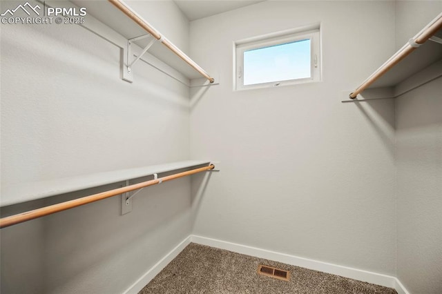 spacious closet featuring carpet and visible vents