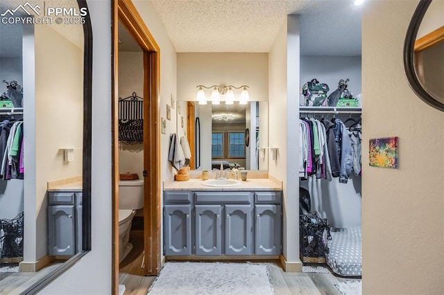 bathroom featuring vanity, hardwood / wood-style floors, a textured ceiling, and toilet