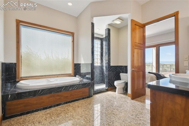 bathroom featuring plenty of natural light, vanity, tile walls, and toilet