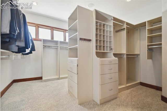 spacious closet featuring light colored carpet