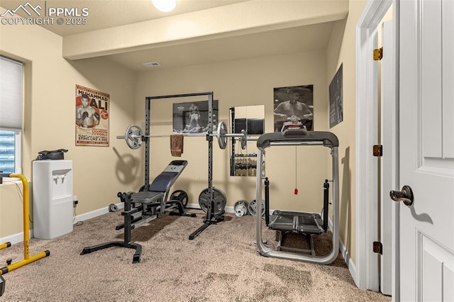 workout room featuring carpet, visible vents, and baseboards