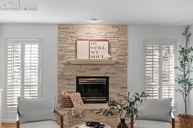 living room with a stone fireplace