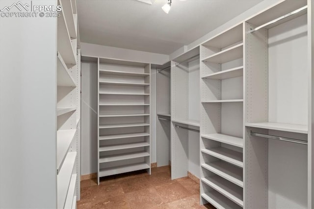 view of spacious closet