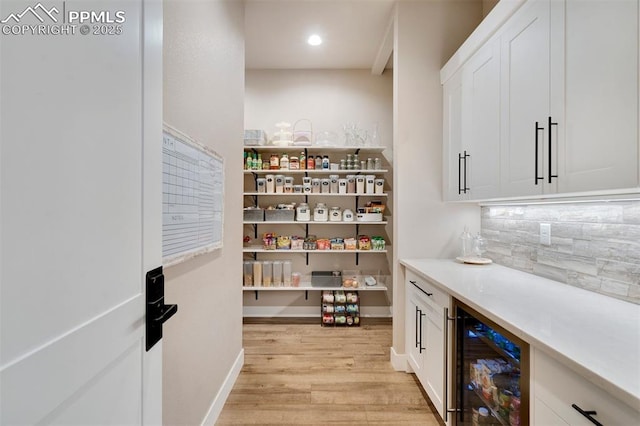 pantry with wine cooler