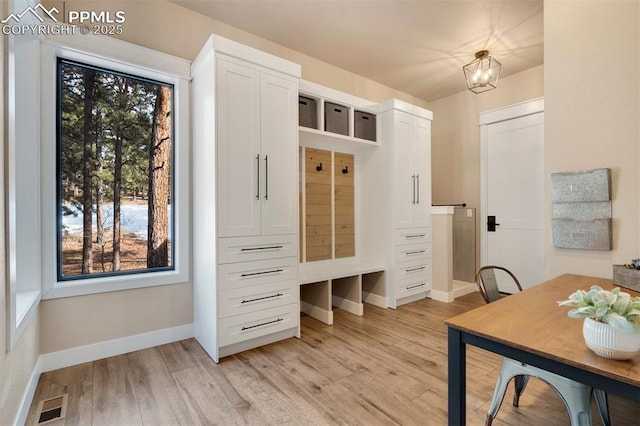 mudroom featuring an inviting chandelier, plenty of natural light, and light wood-type flooring