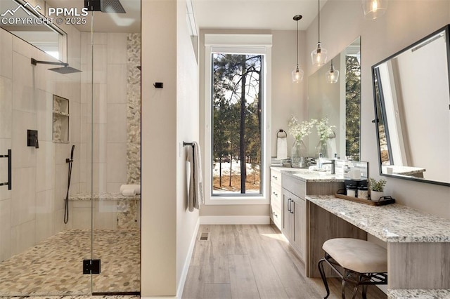 bathroom featuring walk in shower, vanity, and wood-type flooring