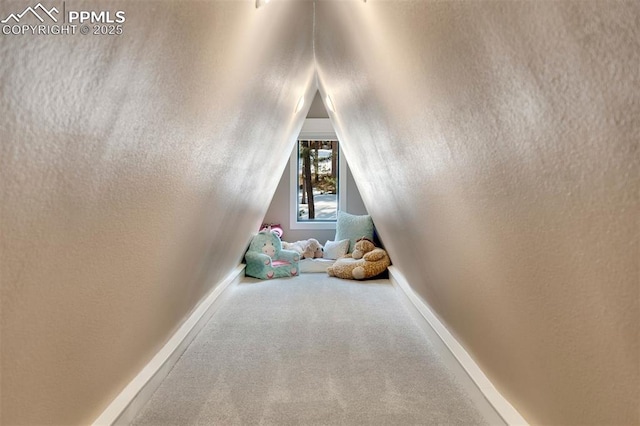 interior space featuring vaulted ceiling and carpet