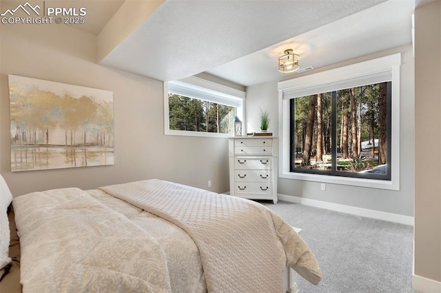 view of carpeted bedroom