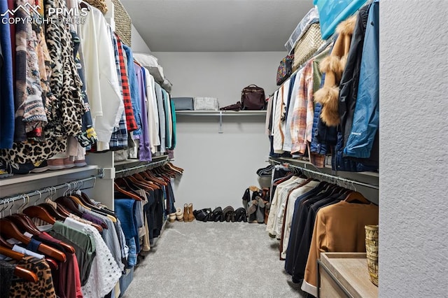 spacious closet with carpet