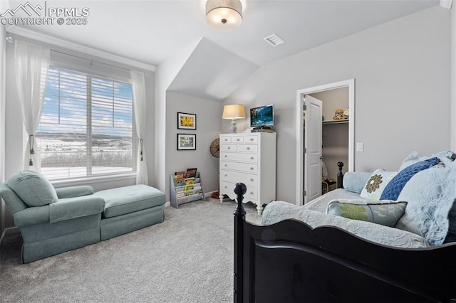 bedroom with lofted ceiling, a spacious closet, and carpet flooring