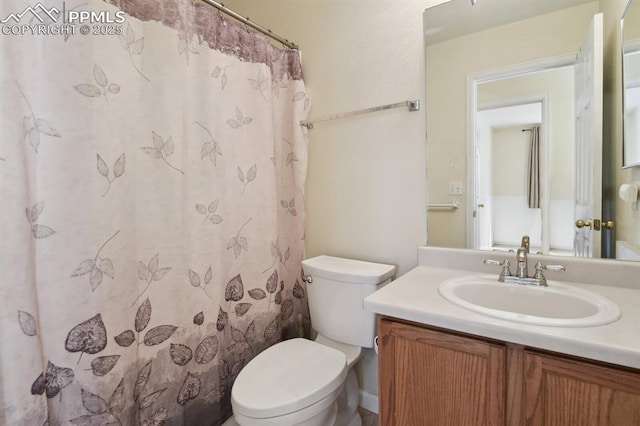 bathroom featuring vanity, a shower with curtain, and toilet