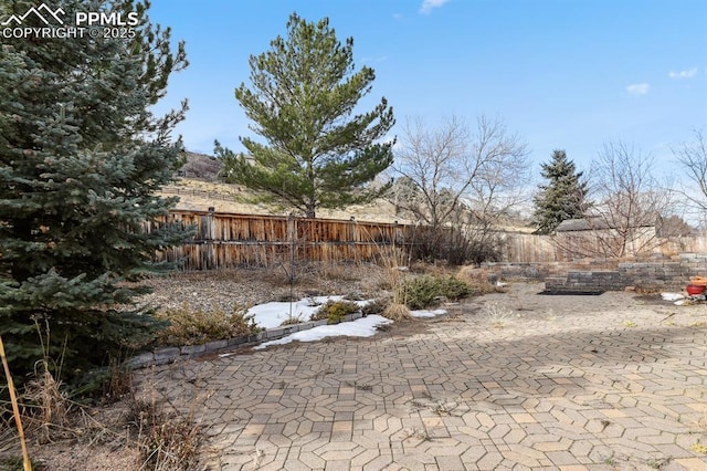 view of yard with a patio