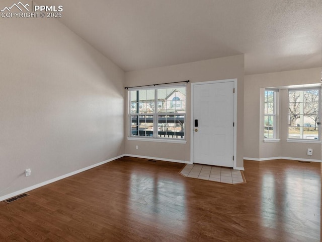 entryway featuring a healthy amount of sunlight, dark hardwood / wood-style flooring, and vaulted ceiling