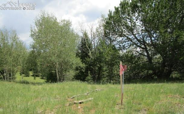 1196 Wellington Dr, Cripple Creek CO, 80813 land for sale