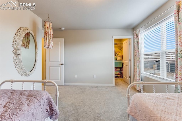 carpeted bedroom with a spacious closet