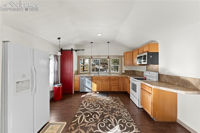 kitchen featuring lofted ceiling, hanging light fixtures, dark hardwood / wood-style floors, stainless steel appliances, and a barn door