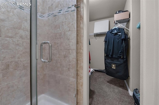 bathroom with a shower with shower door