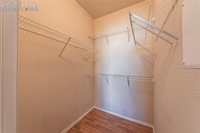 spacious closet with hardwood / wood-style floors