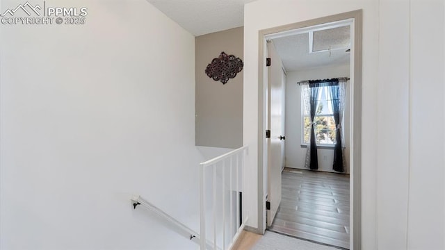 hallway with a textured ceiling and light hardwood / wood-style floors