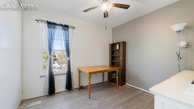 office with light hardwood / wood-style flooring and ceiling fan