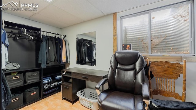 spacious closet featuring hardwood / wood-style floors and a drop ceiling