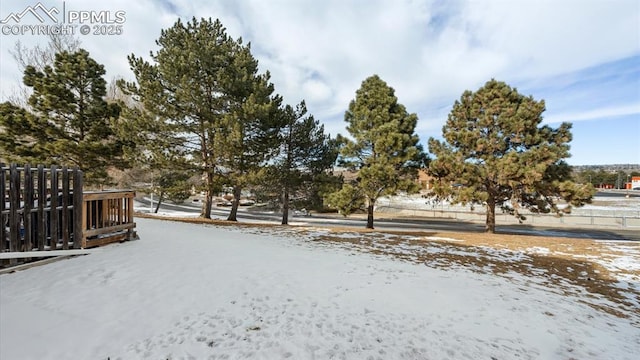 view of yard covered in snow