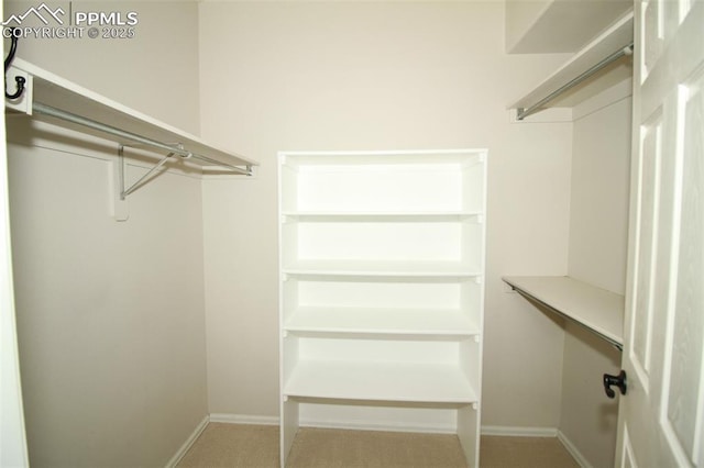 view of walk in closet