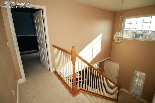 stairs featuring carpet flooring