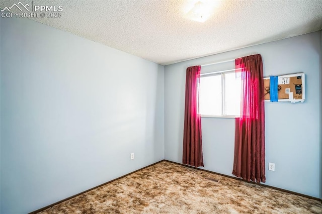 spare room featuring a textured ceiling and carpet flooring