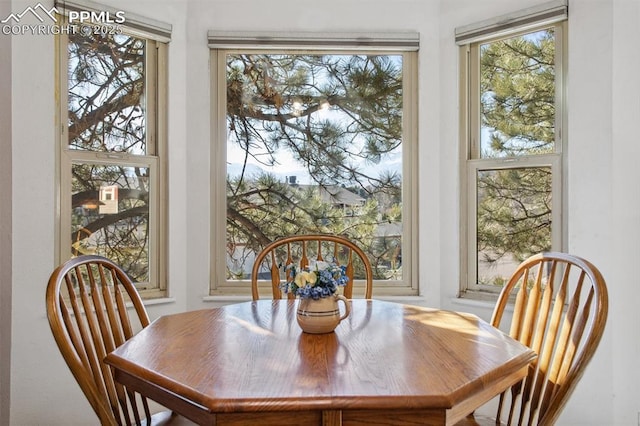 dining room featuring a wealth of natural light