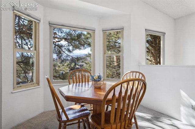 dining area with carpet and a textured ceiling