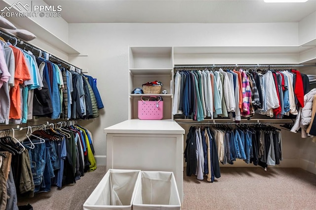 walk in closet with carpet flooring