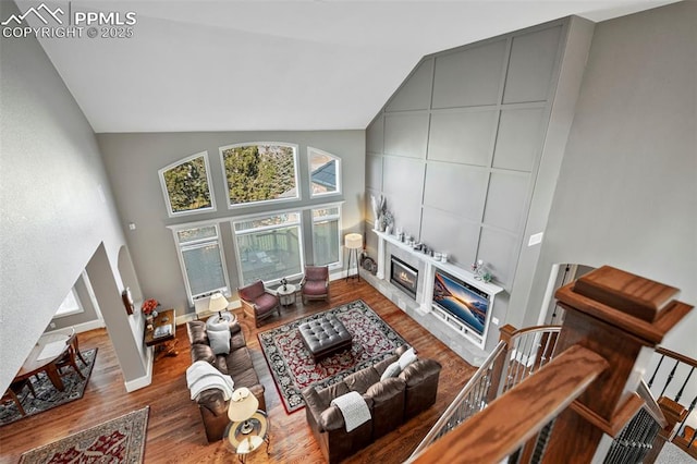 living room with hardwood / wood-style flooring, high vaulted ceiling, and a fireplace