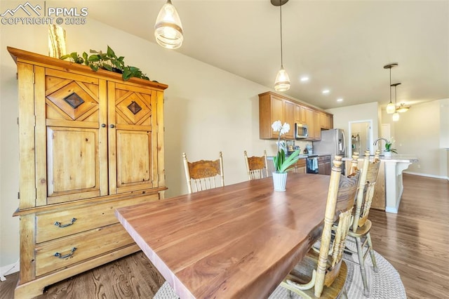 dining room featuring sink and dark wood-type flooring