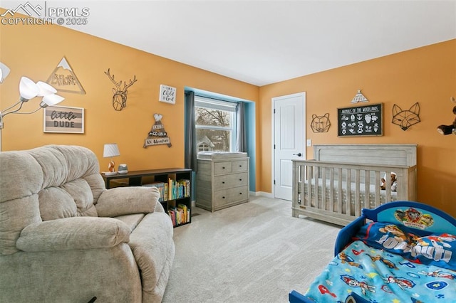 bedroom with carpet floors