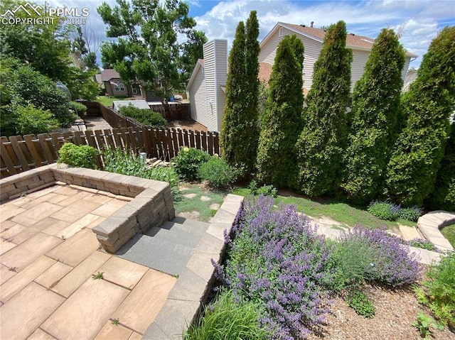 view of yard with a patio area