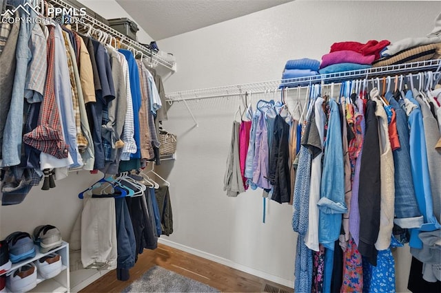 spacious closet featuring hardwood / wood-style flooring