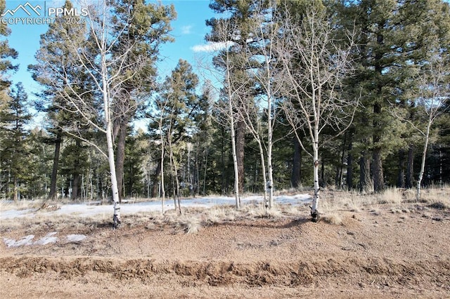 278 Cherry Lake Dr, Divide CO, 80814 land for sale