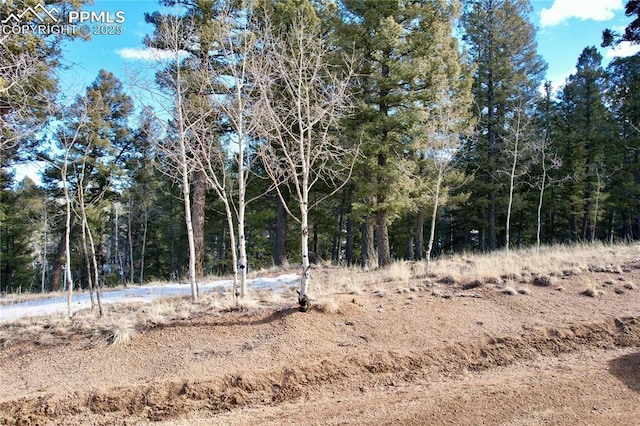 Listing photo 3 for 278 Cherry Lake Dr, Divide CO 80814