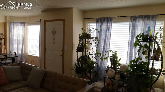 entryway with a healthy amount of sunlight and a textured ceiling