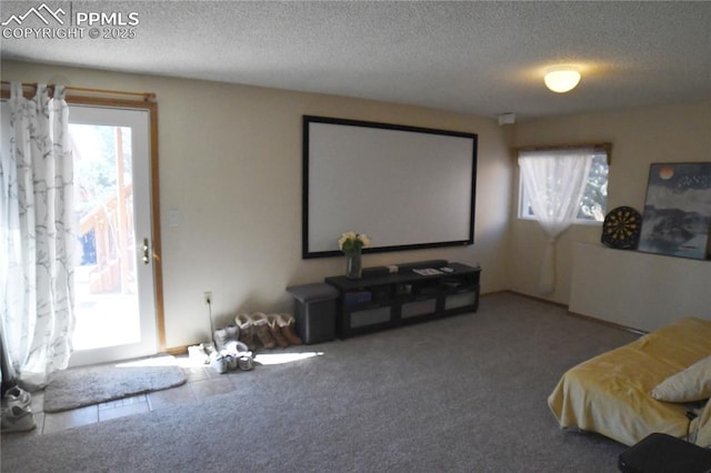 carpeted cinema room with plenty of natural light and a textured ceiling