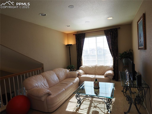 living room with a textured ceiling