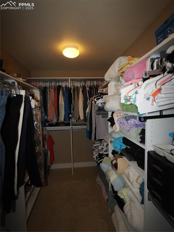 spacious closet with carpet floors