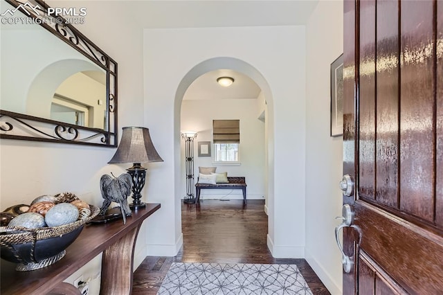 entryway featuring dark wood-type flooring