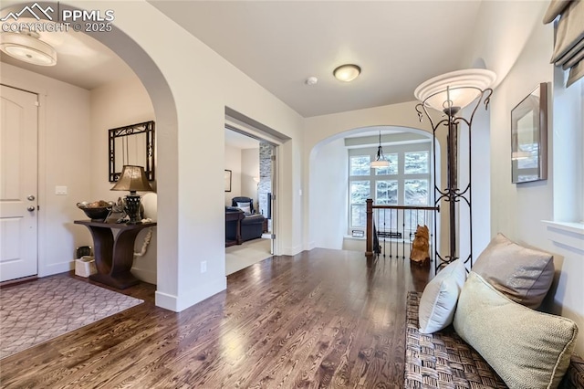 foyer with dark hardwood / wood-style flooring