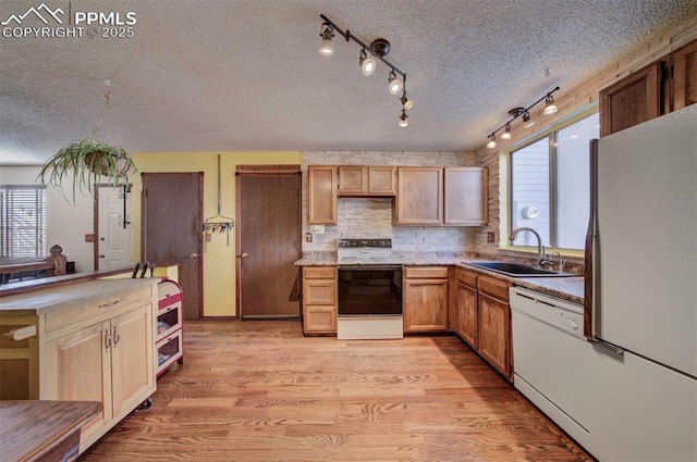 kitchen featuring light brown cabinetry, sink, tasteful backsplash, white appliances, and light hardwood / wood-style floors