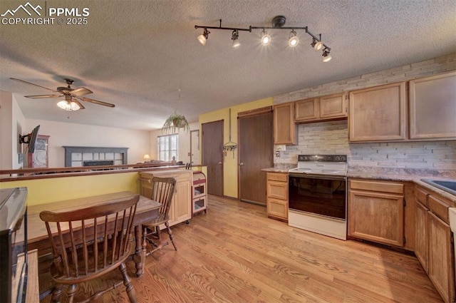 kitchen with tasteful backsplash, white electric stove, light hardwood / wood-style flooring, and light brown cabinets